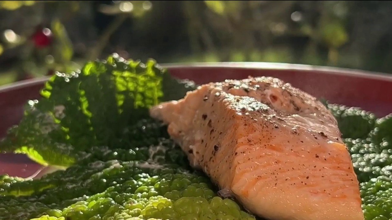 Gourmand - Feuilles de chou farcies au saumon