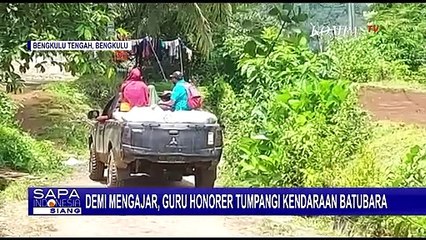 Demi Mengajar, Guru Honorer di Kabupaten Bengkulu Tumpangi Mobil Limbah Batubara