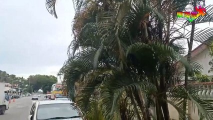 宝林园 第3度强管    主 逾2000户家庭受影响