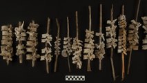Des bâtons de vertèbres humaines découverts dans des tombes au Pérou