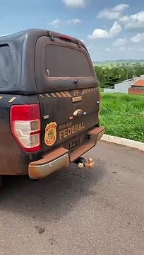 Carreta bitrem carregada com cigarros contrabandeados é apreendida em Pérola