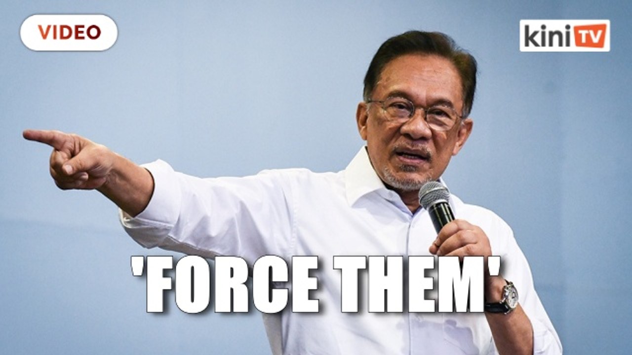 Anwar: Logging firms contributing to flood disaster should compensate victims