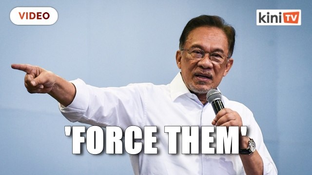 Anwar: Logging firms contributing to flood disaster should compensate victims