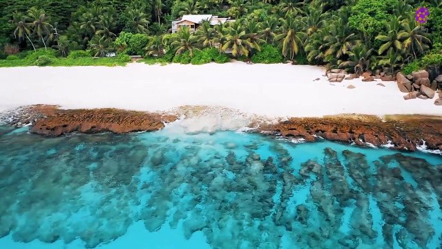 15 Minute Deep Sleep Music | Ocean | Beach | Calming Soothing | Peaceful | Study | Instrumental | Self-love | Self-Esteem | Positive Energy