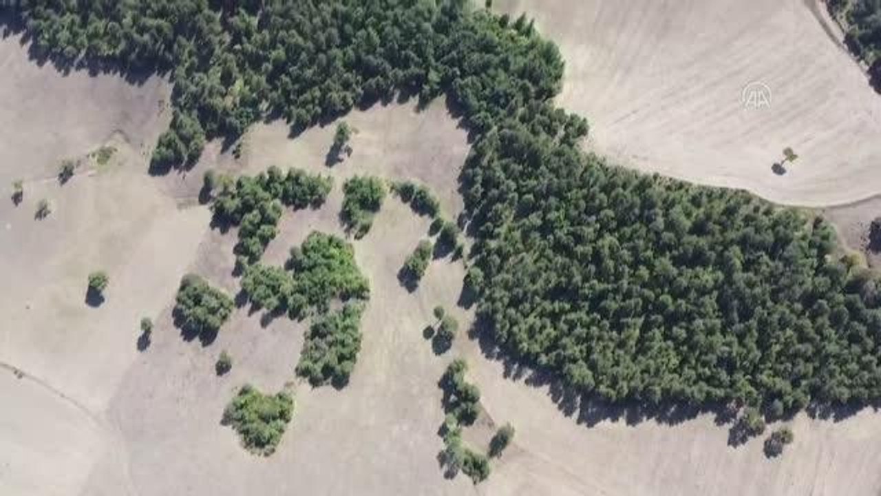 "Geyve İnovasyon Köyü"nde teknoloji ve doğayla iç içe eğitim alacaklar
