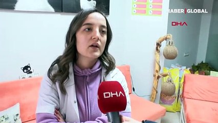 Denizli Pamukkale'de sokak köpeğine cinsel saldırı iddiası