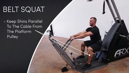 ARX Omni - Belt Squat Tutorial