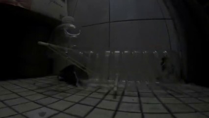 Tutorial Membuat Jebakan Tikus Dengan Botol Aqua