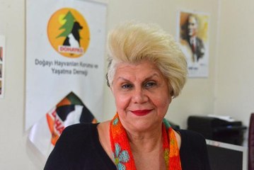 'SOKAK KÖPEKLERİNDEN ŞİKAYET EDENLER, KISIRLAŞTIRMA İÇİN BAŞVURMALI'