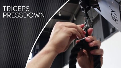 ARX Omni - Triceps Pressdowns Tutorial