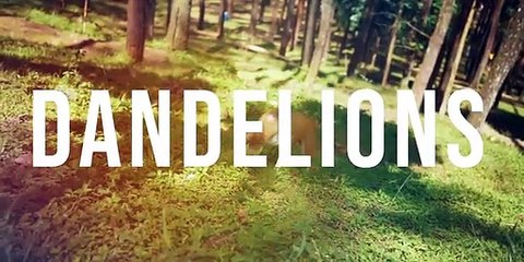 dandelions-ruth-b-fingerstyle-