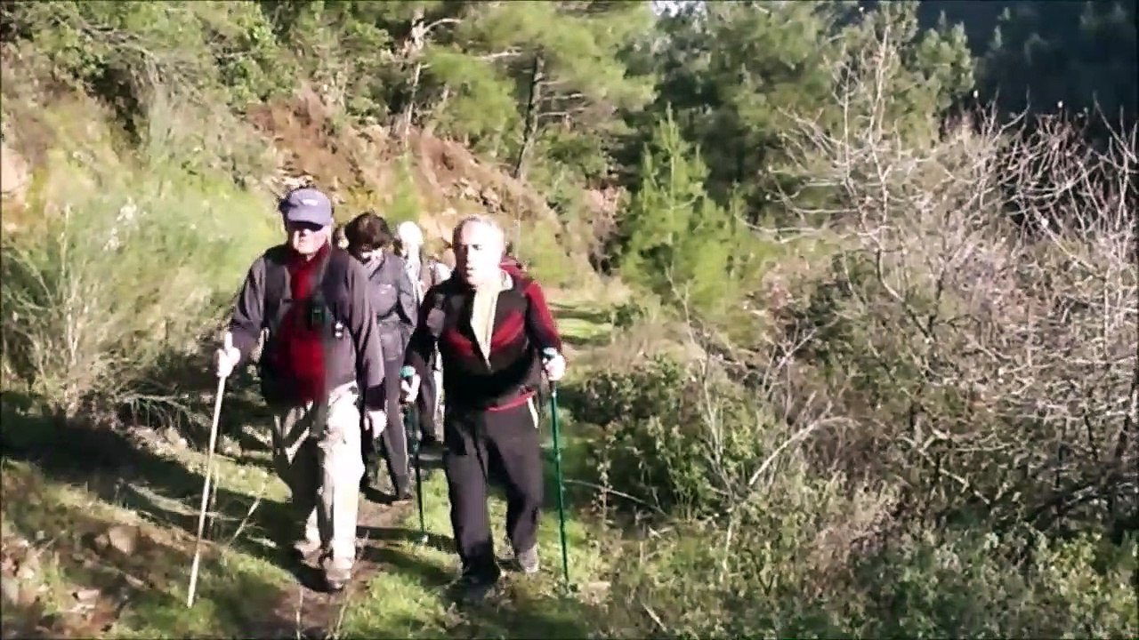 Ören Kandil tepe _D