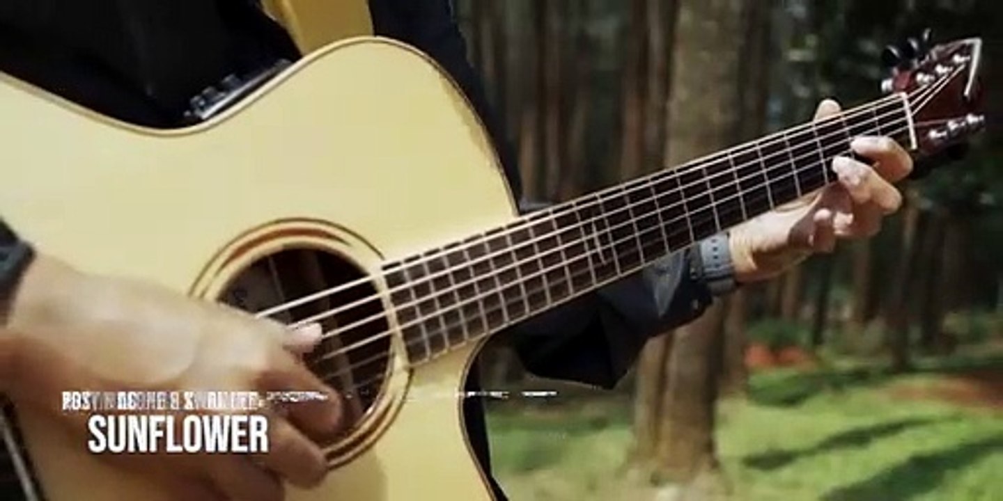 sunflower-Post-Malone-Swae-Lee-fingerstyle-guitar-