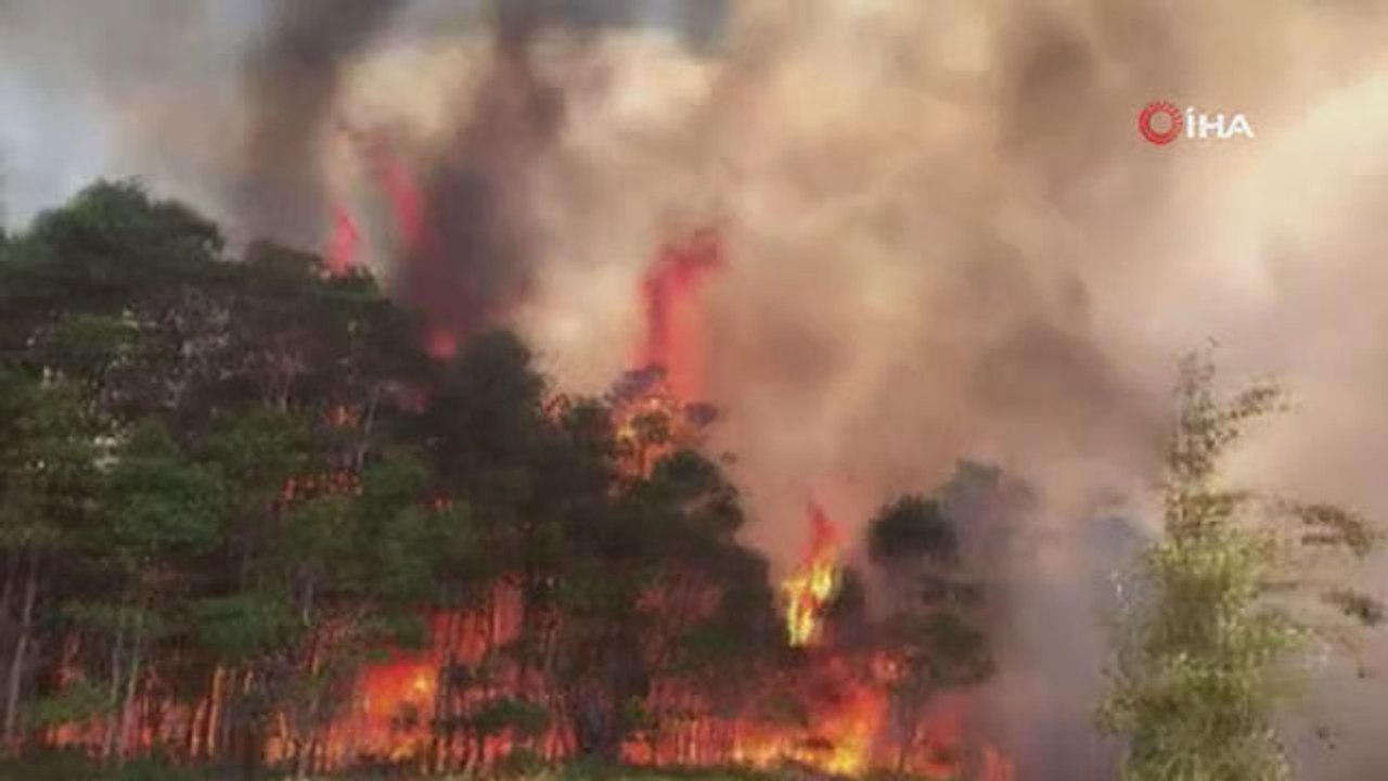 Avustralya’da orman yangını: 60 bin hektar alan küle döndü