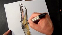 How to Draw a 3D Jumping Crocodile- Trick Art Drawing
