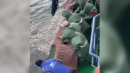 YASAL BOYDA OLMAYAN 5 TONA YAKIN İSTAVRİTİ DENİZE GERİ BIRAKTI