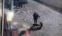 Antalya'da yasaklı cins sokak köpeği, genç kadın ve köpeğine dehşeti yaşattı