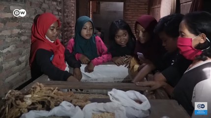 Sekolah Pagesangan: Lahan Tandus Mengajarkan Pentingnya Swasembada Pangan