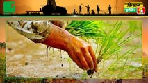किसान प्रभाकरण ने जुगाड़ से तैयार की पौधा रोपने की मशीन, समय, लागत और मजदूर तीनों की होगी बचत In Kisan Bulletin On Green TV