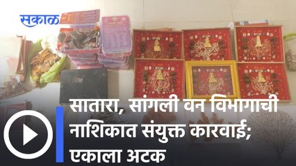 Karad: सातारा, सांगली वन विभागाची नाशिकात संयुक्त कारवाई; एकाला अटक