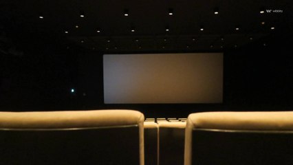 La fréquentation des salles de spectacles et de cinéma est en baisse