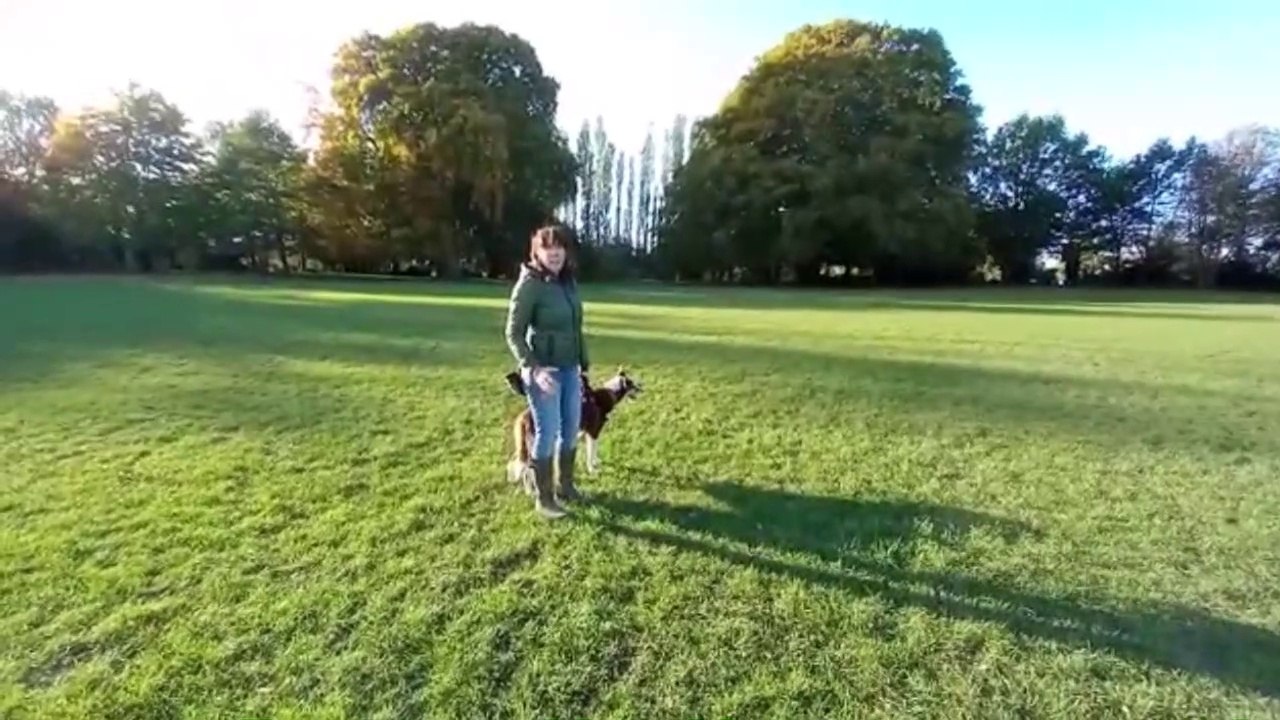 OFF LEAD HEEL AND DISTRACTION