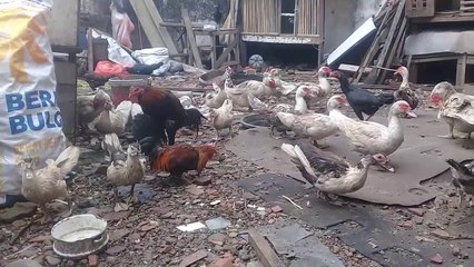 Solusi usaha yang tepat untuk hasil yang cepat