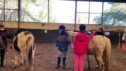 Des élèves en difficultés au contact des chevaux