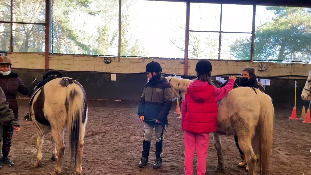 Des élèves en difficultés au contact des chevaux
