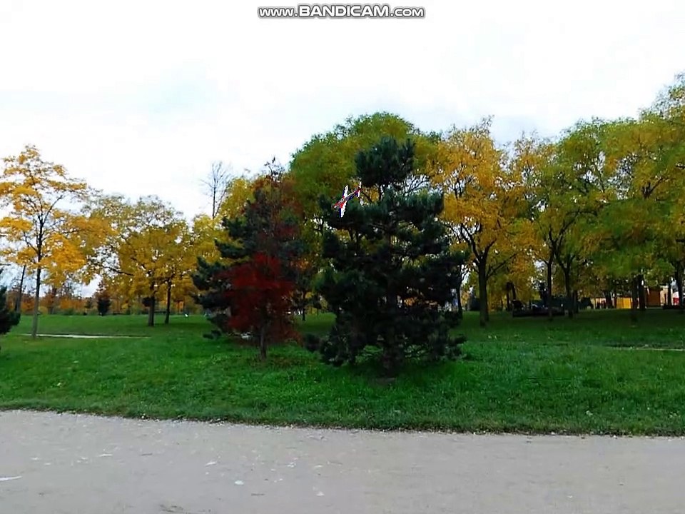 Leo's RC Simulator #5