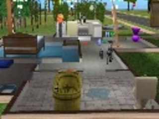 la vie d'un sims