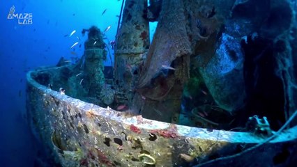Divers Work Hard to Remove These ‘Ghost Nets’ From a WWII Shipwreck