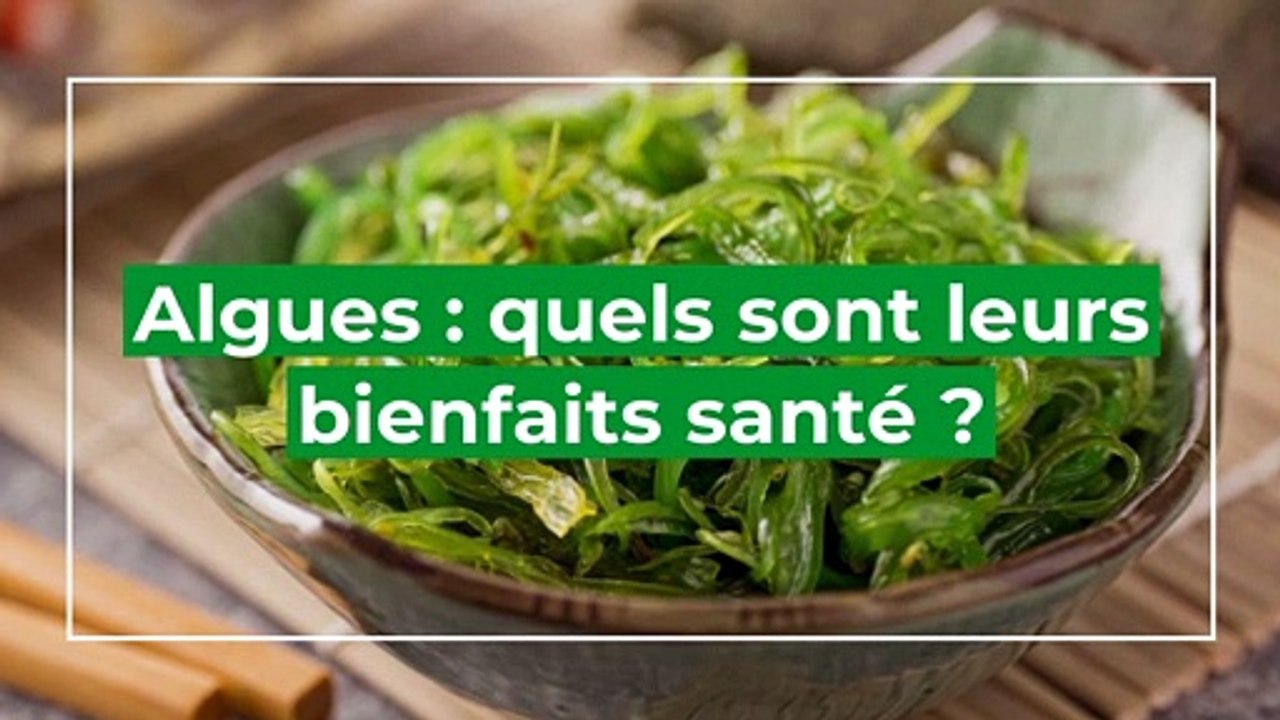 Quels sont les bienfaits santé des algues ?