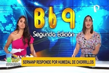 Sernanp descarta que humedal Delicias de Villa está muriendo: "Es la estacionalidad"