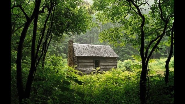The Living History of the Blues Dr. Robert Ownby