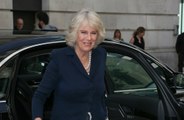 Camilla, Duchess of Cornwall to wear Queen Mother's crown