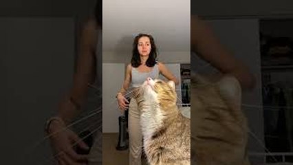 It's Peanut's World and we are Just Living in it