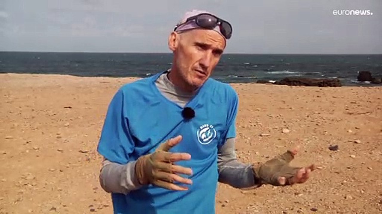 60 prozent mehr schildkrötennester auf den kapverdischen inseln