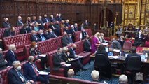 Baroness McIntosh highlights concerns about e-scooters