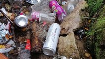 Maidstone residents call for urgent action to clean up what they say are filthy rivers