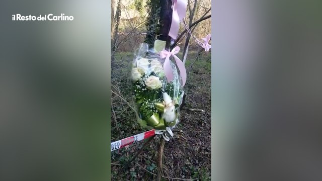 Liliana Resinovich, nel bosco dov'è stato ritrovato il cadavere