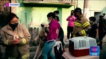 Rescatan a gatos y perros abandonados en vivienda de Chimalhuacán