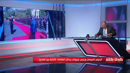 "أمن البحر الأحمر وسد النهضة".. إليك أبرز الملفات التي ناقشها الرئيس السيسي مع رئيس جيبوتي