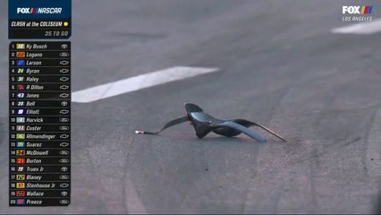 Nascar Cup Series Los Angeles 2022 Clash Jones Crash Blaney Cast Hans Device