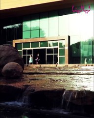 جولة في قصر الربيعة بالمملكة العربية السعودية: استغرق بناؤه عامين وهذه أقسامه