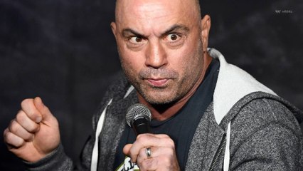 Spotify Won't Be 'Silencing' Joe Rogan After Racial Slurs Surface