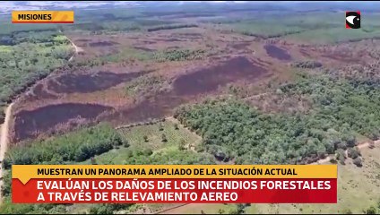 Evalúan los daños de los incendios forestales a través de relevamiento aereo