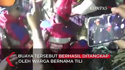Momen Penyelamatan Buaya Terlilit Ban di Palu