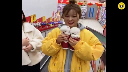 Try Not to Laugh Challenge - Funny Dog And Cat  #2