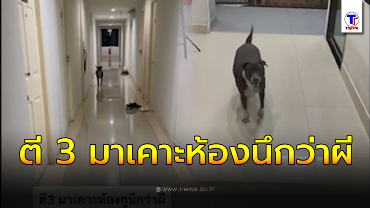 ตี 3 มาเคาะห้องนึกว่าผี  ที่ไหนได้ ไออ้วนมาเคาะให้พาออกคอนโดหน่อย
